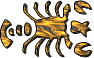 cancer crab