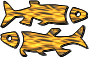 pisces fish